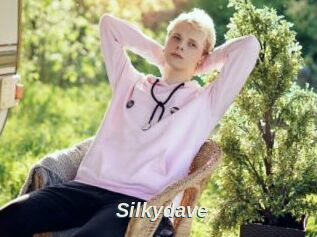 Silkydave