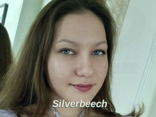 Silverbeech
