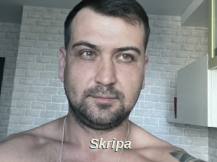 Skripa