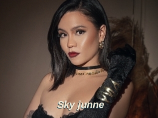 Sky_junne