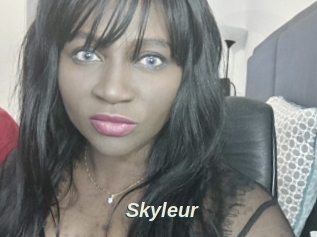 Skyleur