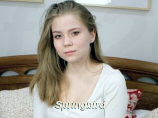 Springbird