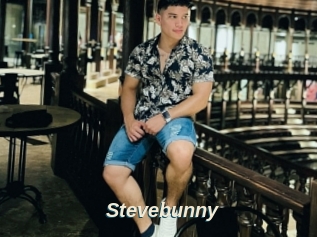 Stevebunny