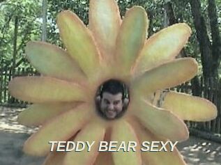 TEDDY_BEAR_SEXY