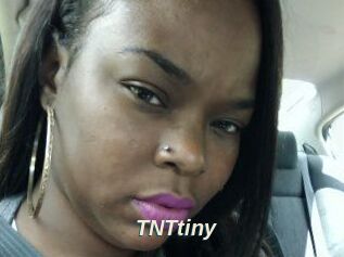 T_N_Ttiny