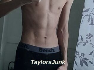 TaylorsJunk