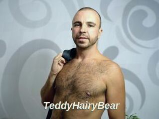 TeddyHairyBear