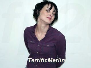 TerrificMerlin