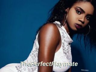 ThePerfectPlaymate