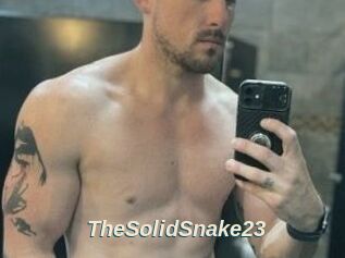 TheSolidSnake23