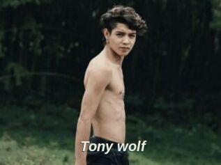 Tony_wolf