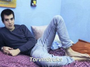 TorvinBruks