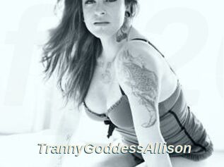 TrannyGoddessAllison