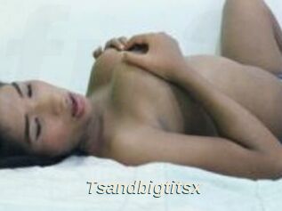 Tsandbigtitsx