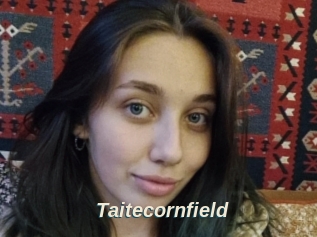 Taitecornfield