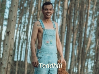 Teddhill