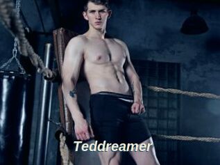 Teddreamer