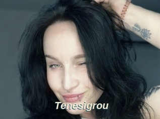 Tenesigrou
