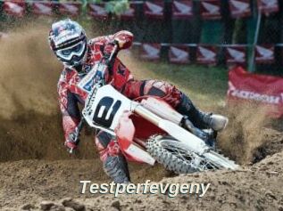 Testperfevgeny