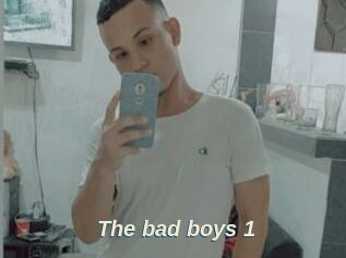 The_bad_boys_1