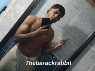Thebarackrabbit