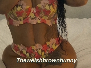 Thewelshbrownbunny