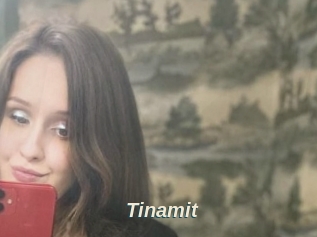 Tinamit
