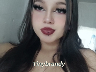 Tinybrandy