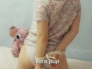 Tora_pup