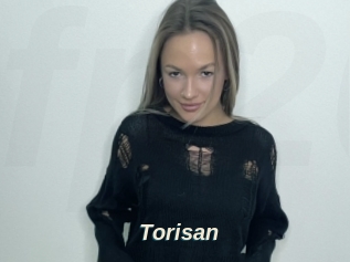 Torisan
