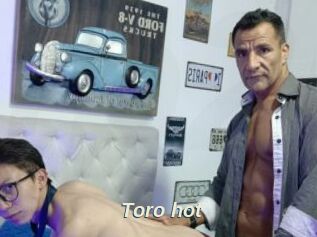 Toro_hot