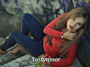 Torrymoor