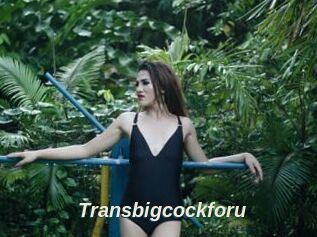 Transbigcockforu