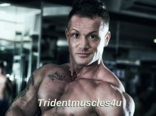 Tridentmuscles4u