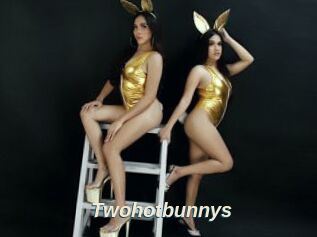 Twohotbunnys