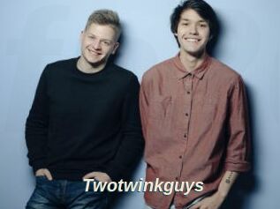 Twotwinkguys