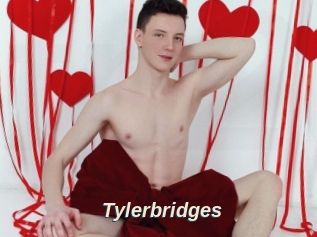 Tylerbridges