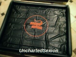 UnchartedSexion