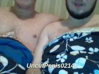 UncutPenis0214
