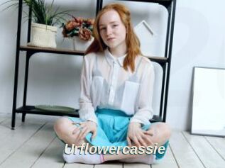 Urflowercassie