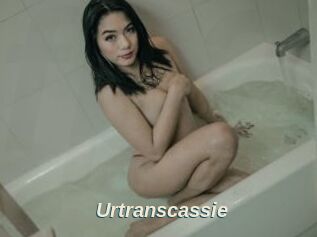 Urtranscassie