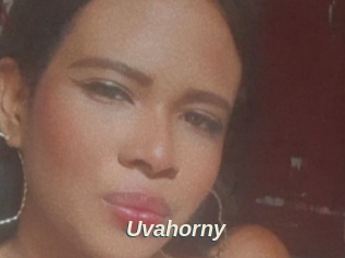 Uvahorny
