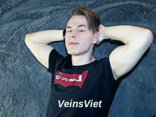 VeinsViet