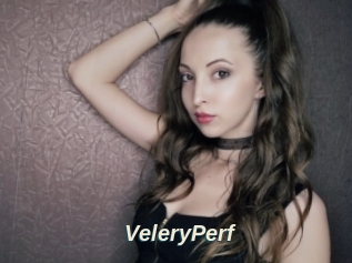 VeleryPerf