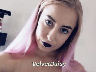 VelvetDaisy