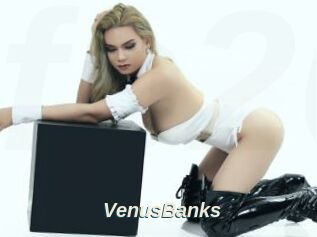 VenusBanks