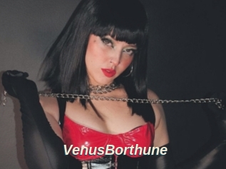 VenusBorthune