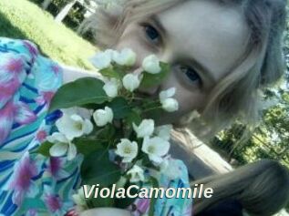 ViolaCamomile