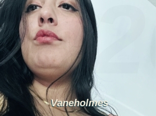 Vaneholmes