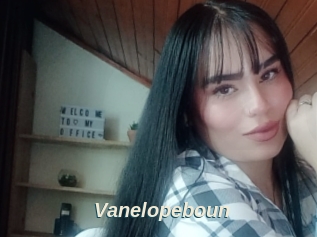 Vanelopeboun